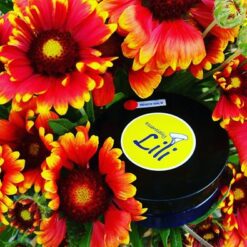 Renew Balm