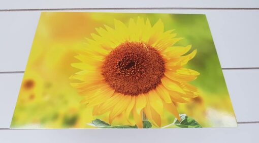 Gift Vouchers