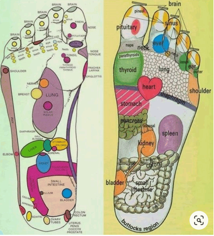 Reflexology Foot Map Dec19