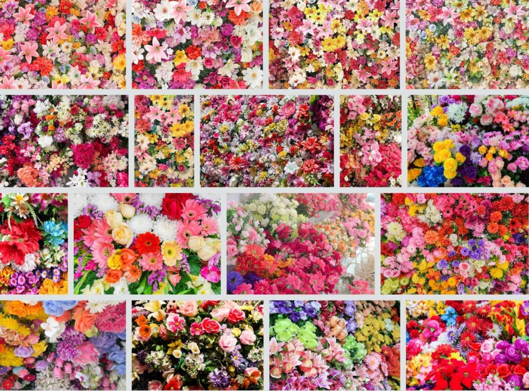 Unsplash Roses Zurich