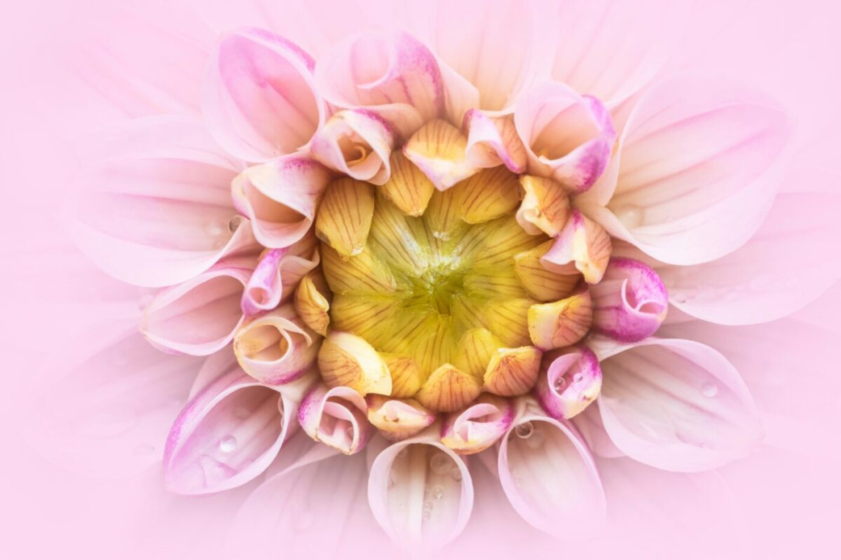 Skyler-Ewing-PxLAWY8S5Fs-unsplash newsletter Apr2025